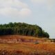 Bukit Daeng Dikeruk Dekat Waduk Muka Kuning, Warga Minta BP Batam Evaluasi Izin Proyek