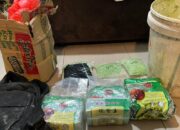 Polda Kepri Bongkar Jaringan Narkoba Internasional di Karimun, Sita 2,8 Kg Sabu dan 1.800 Pil Ekstasi
