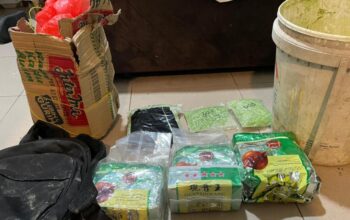 Polda Kepri Bongkar Jaringan Narkoba Internasional di Karimun, Sita 2,8 Kg Sabu dan 1.800 Pil Ekstasi